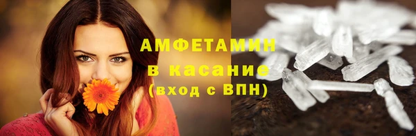 трава Бородино
