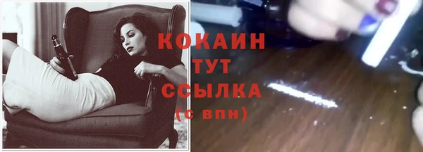 трава Бородино