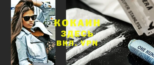 трава Бородино