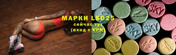 прущие грибы Бугульма
